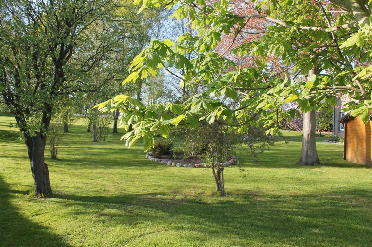 Fewo An Der Muehle Hasselberg  Esterno foto